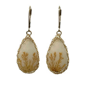 Dendritic Agate Earrings In Gold