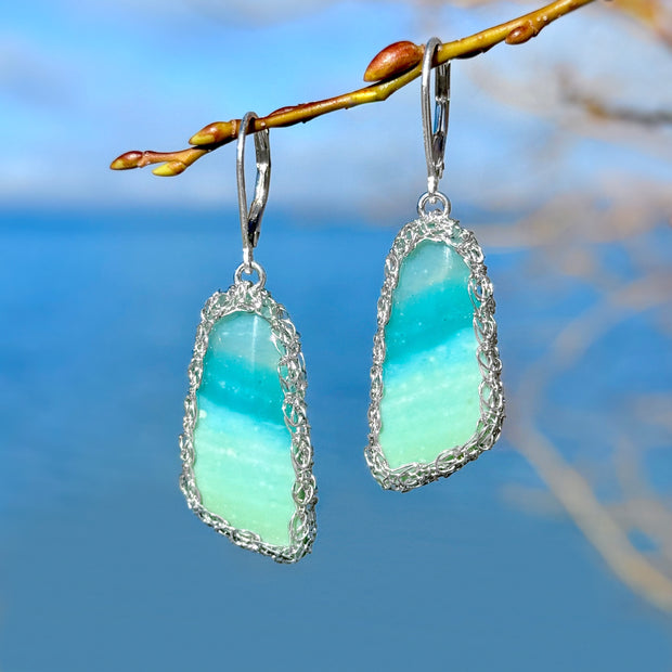 Petrified Opalized Wood Wing Earrings in Silver