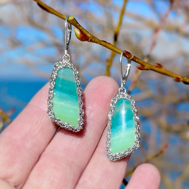 Petrified Opalized Wood Wing Earrings in Silver