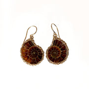 Ammonite Earrings In Gold