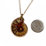 Ammonite Necklace In Gold